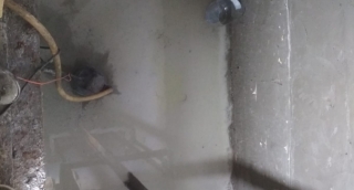 Asansör Çukuru İzolasyonu 14